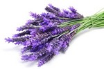 Agua Lavanda Puig Soap has the classic scent of lavender and is very well known in Spain